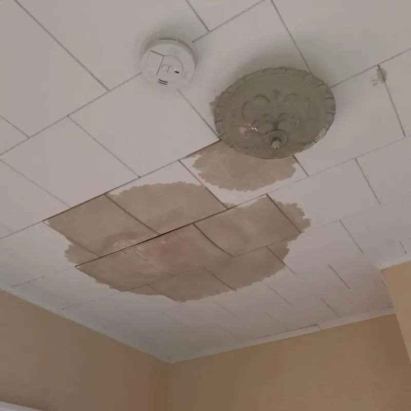 Ceiling Water Damage Repair in Raynham, MA