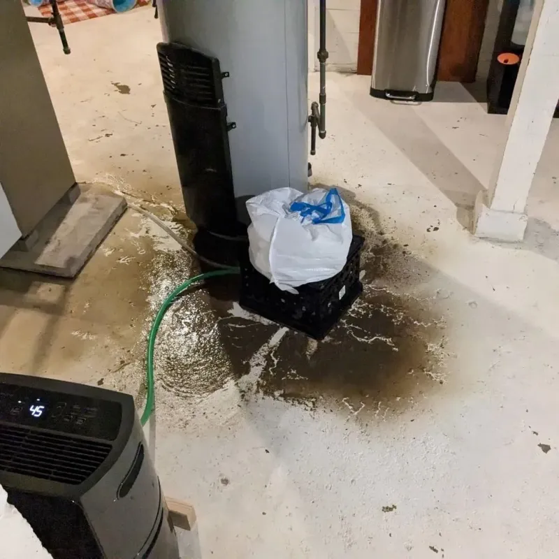 Sewage Backup Cleanup Service in Raynham, MA